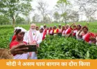 पीएम मोदी ने असम के डिब्रूगढ़ चाय बागान का दौरा किया, महिलाओं के साथ सेल्फी खिंचाई