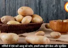 गर्मियों में ऐसे करें आलू को स्टोर, हफ्तों तक रहेंगे फ्रेश और सुरक्षित
