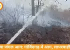 रीवा के गोविंदगढ़ जंगलों में आग, मानवीय लापरवाही की आशंका