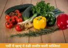 गर्मी में इन सब्जियों का सेवन रखें शरीर को ठंडा, पाचन रहेगा दुरुस्त