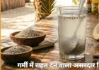 गर्मी में हाइड्रेशन का असरदार उपाय: नारियल पानी और सब्जा सीड्स का कॉम्बिनेशन देगा तुरंत राहत