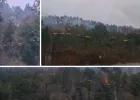 कुंवरपुर के जंगल में धधकी आग: 1 किमी तक फैली लपटें, हरियाली को भारी नुकसान