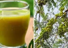 सुबह खाली पेट आंवला जूस पीना फायदेमंद, वजन कंट्रोल के साथ कई बीमारियों से भी बचाव