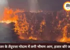 बस्तर के तेंदूपत्ता गोदाम में भीषण आग, हजार बोरे राख; बीजापुर मामले में DFO हटाए गए