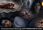 सपने में बार-बार कॉकरोच दिखना क्या देता है संकेत? जानिए इसका असर