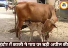 इंदौर में ईद पर काजी की अपील, गाय को राष्ट्रीय धरोहर घोषित करें