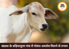 खंडवा के बड़ियातुला गांव में अवशेष मिलने से तनाव फैला, पुलिस तैनात