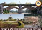 नंदनवन जू और जंगल सफारी घूमना हुआ महंगा, टिकट दरों में बड़ा इजाफा