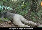 यूपी के जंगल में मिली रीवा के युवक की लाश, 6 दिन से था लापता