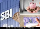 SBI FD में 6 महीने के लिए 2 लाख रुपये जमा करें, तो कितना मिलेगा रिटर्न, देखें कैलकुलेशन