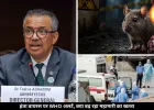 हंता वायरस को लेकर WHO ने दिया अलर्ट, क्या दुनिया पर फिर मंडरा रहा कोरोना जैसी महामारी का खतरा?