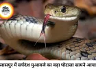 बिलासपुर में सर्पदंश मुआवजा घोटाला, 17 करोड़ का फर्जीवाड़ा उजागर