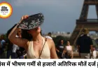 फ्रांस में भीषण हीटवेव से 1000 लोगों की मौत, यूरोप झुलसा