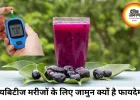 डायबिटीज मरीजों के लिए क्यों खास है जामुन? ब्लड शुगर कंट्रोल से लेकर दिल की सेहत तक पहुंचाता फायदे