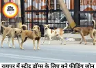 रायपुर में स्ट्रीट डॉग्स के लिए फीडिंग जोन तय, अब निर्धारित जगहों पर ही मिलेगा भोजन