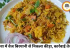 रीवा में वेज बिरयानी में निकला कीड़ा, स्ट्रीट किचन का लाइसेंस निलंबित