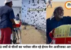 30 साल से हर दिन चीलों को दाना खिला रहे 'ईगल मैन' अजीजका, एक सीटी पर उमड़ पड़ते हैं सैकड़ों शिकारी पक्षी
