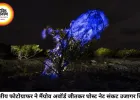भारतीय फोटोग्राफर गौरव पाटिल ने जीता वैश्विक मैंग्रोव फोटोग्राफी अवॉर्ड, 'घोस्ट नेट' संकट पर दुनिया का ध्यान खींचा