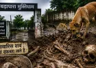 बिलासपुर के मुक्तिधाम में इंसानियत शर्मसार: उथली कब्रों से बाहर आ रहे लावारिस शवों के अवशेष, कुत्तों के नोचने से बिखरी हड्डियां