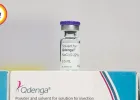 भारत को मिली पहली डेंगू वैक्सीन, 4 से 60 साल तक के लोगों के लिए QDENGA को मंजूरी