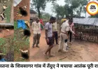 सतना में तेंदुए का हमला, एक ही रात में 9 भेड़ों को बनाया शिकार
