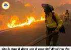 स्पेन के जंगल में भीषण आग से 12 की मौत, 19 लापता; राहत अभियान जारी