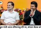 तमिलनाडु दौरे पर राहुल गांधी, संगठन मजबूत करने के लिए जिला अध्यक्षों संग करेंगे मंथन