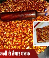ठंड में घर पर बनाएं कुरकुरी मूंगफली गजक, स्वाद और सेहत दोनों का 