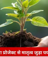 रायपुर में ‘ग्रीन पालना’ पहल: बच्चे के जन्म के साथ मां को मिलेगा पौधा, पर्यावरण से जोड़ा मातृत्व