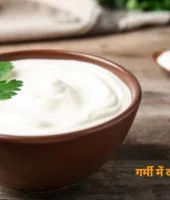 गर्मी में दही के फायदे: पाचन से लेकर इम्यूनिटी तक वरदान