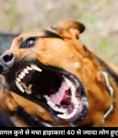 MP के सतना में पागल कुत्ते से मचा हाहाकार! 40 से ज्यादा लोग हुए अस्पताल में भर्ती