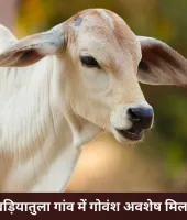 खंडवा के बड़ियातुला गांव में अवशेष मिलने से तनाव फैला, पुलिस तैनात