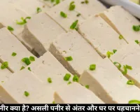 एनालॉग पनीर क्या है? असली पनीर से अंतर और घर पर पहचानने का तरीका
