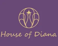 भारत में Luxury Silver Jewellery को मिल रहे हैं नए ग्राहक: House of Diana ला रहा है Premium D2C Design