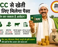 खेती के लिए चाहिए पैसा तो ऐसे मिलेगा किसान क्रेडिट कार्ड से कर्ज, जानें कौन कर सकता है आवेदन