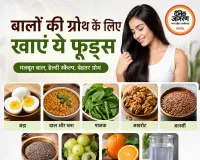 बालों का झड़ना रोकने के लिए डाइट में शामिल करें ये 8 चीजें, हेयर ग्रोथ में मिलेगी मदद