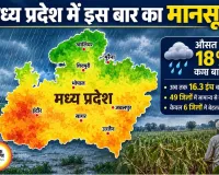 मध्य प्रदेश में सूखे जैसे हालात, 49 जिलों में सामान्य से कम बारिश; फसलों पर बढ़ा संकट
