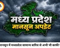 आधे मानसून में पिछड़ा मध्यप्रदेश, सामान्य से 15% कम बारिश; 42 जिलों में सूखे जैसे हालात