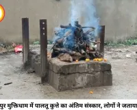 बिलासपुर के मुक्तिधाम में पालतू कुत्ते का अंतिम संस्कार, विरोध के बाद मचा बवाल