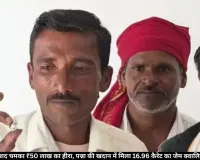 पन्ना में बारिश के बाद मिला 16.96 कैरेट का ₹50 लाख से ज्यादा का हीरा