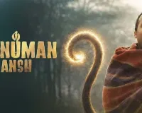 कम बजट की 6 भारतीय फिल्मों ने दिखाया दम, औसतन 7 गुना ज्यादा कमाई से रचा नया रिकॉर्ड