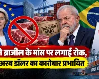 EU ने ब्राजील के मांस पर लगाई रोक, 1.84 अरब डॉलर का कारोबार प्रभावित