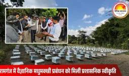 मधेपुरा के डीएम ने रामगंज वैज्ञानिक शहद परियोजना को उत्तर बिहार का मॉडल बताया