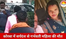 कोरबा में दर्दनाक हादसा: जहरीले सांप के डसने से 8 माह की गर्भवती महिला की मौत, 10 महीने पहले हुई थी शादी