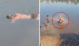 CG : फेकूबांध में युव‍क की लाश मिलते ही हड़कंप: शरीर पर बंधा था पत्थर, हत्या की आशंका से दहशत