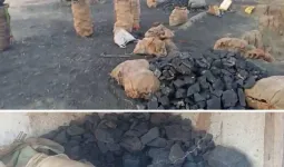 कोयला माफिया पर पुलिस का प्रहार: जंगल में छिपाया गया 3 टन अवैध कोयला जब्त, बड़ा नेटवर्क बेनकाब