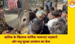 गुरुग्राम में युवक ने गाय को चिकन मोमोज खिलाए, हिंदू संगठनों ने पकड़ा और की पिटाई