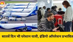 इंडिगो संकट 7वें दिन भी बरकरार: 250 से ज्यादा उड़ानें रद्द, सुप्रीम कोर्ट ने तात्कालिक सुनवाई से किया इनकार