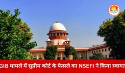 ग्रेट इंडियन बस्टर्ड मामले में सुप्रीम कोर्ट के फैसले का NSEFI ने किया स्वागत, ₹65 हजार करोड़ की नवीकरणीय परियोजनाओं को राहत