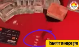 रायपुर में ड्रग्स पार्टी: टेबल पर 19 लाइन, कैश और क्रेडिट कार्ड, गृहमंत्री ने दिए जांच के आदेश